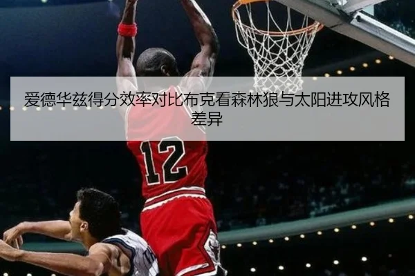 爱德华兹得分效率对比布克看森林狼与太阳进攻风格差异